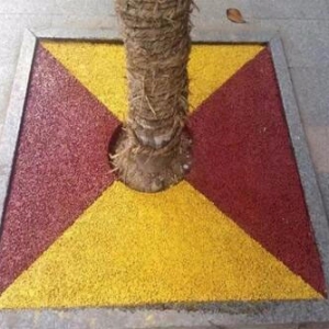 景德镇陕西宝鸡街道树池