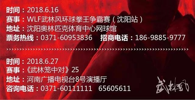 鹰潭江西丰邦科技有限公司战略合作伙伴武林风的搏击世界杯即将开战